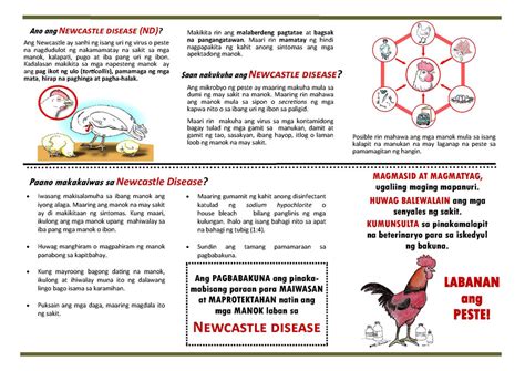 new castle disease peste sa manok alamin at sugpuin pdf